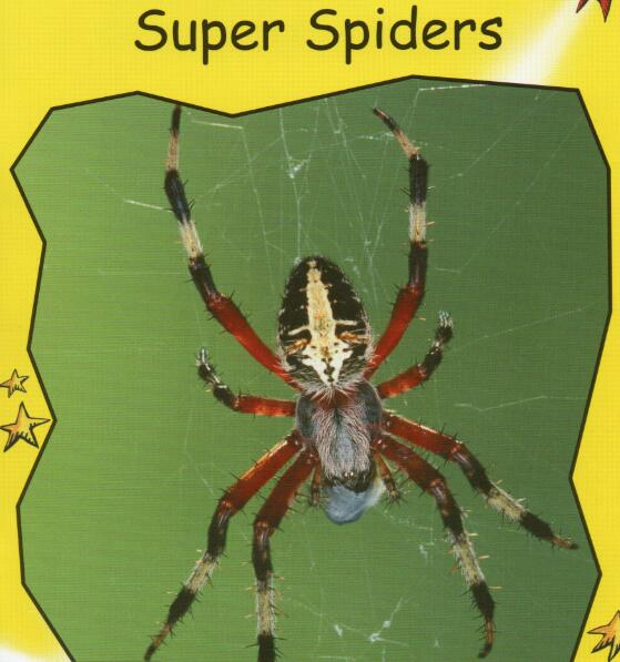 《Super Spiders》红火箭分级绘本pdf资源免费下载