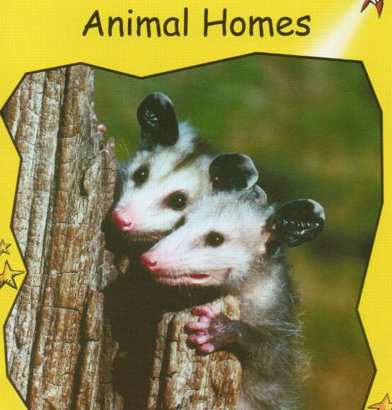 《Animal Homes》红火箭分级绘本pdf资源免费下载