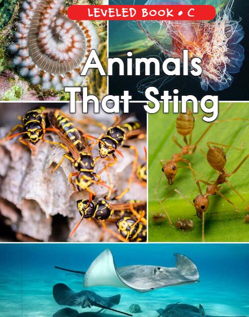 《Animals That Sting》RAZ分级英文绘本pdf资源免费下载