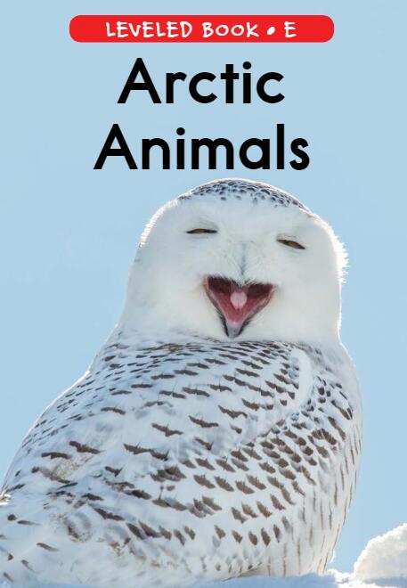 《Arctic Animals》RAZ分级英语绘本pdf资源免费下载