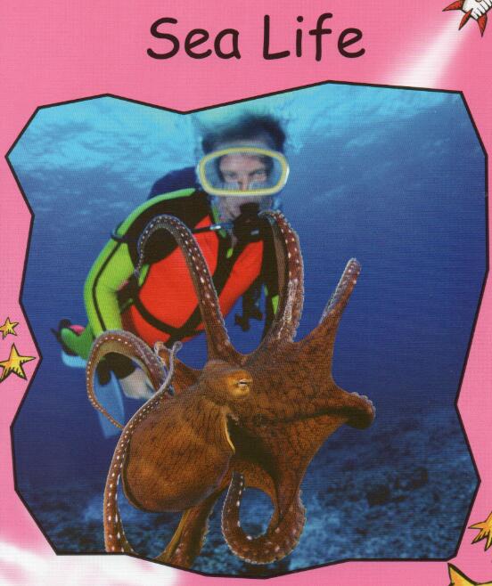 《Sea Life》红火箭分级阅读绘本pdf资源免费下载