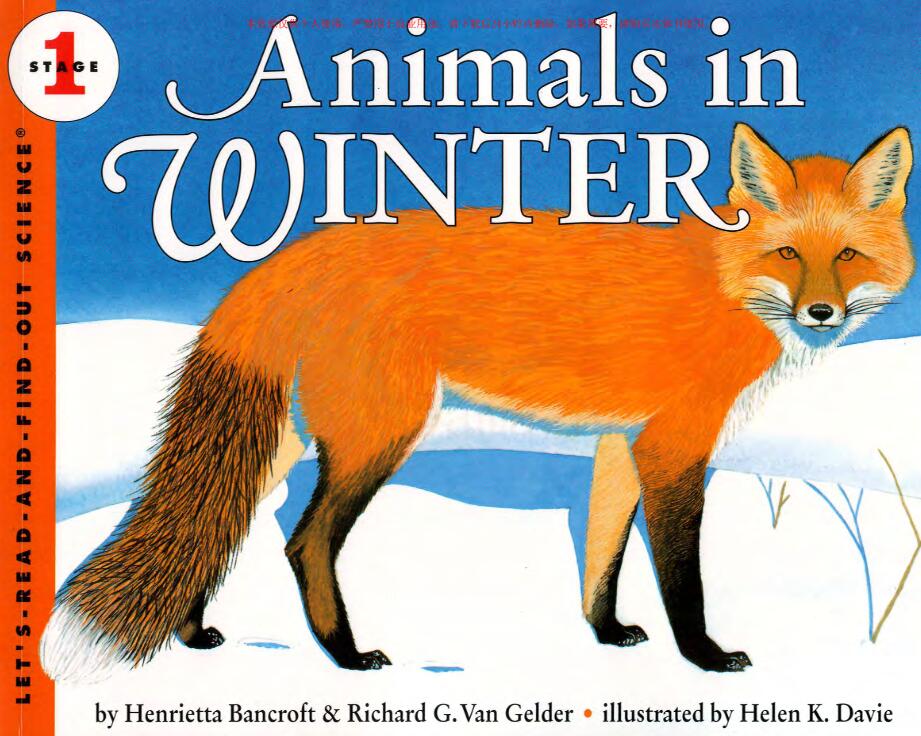 《Animals in Winter》科普类绘本pdf资源免费下载