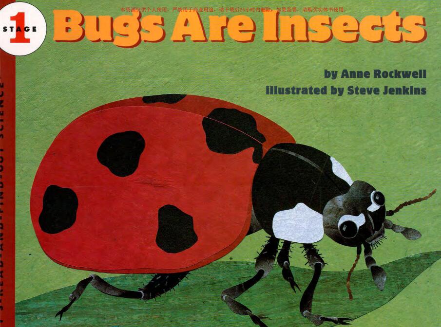 《Bugs Are Insects》科普类绘本pdf资源免费下载