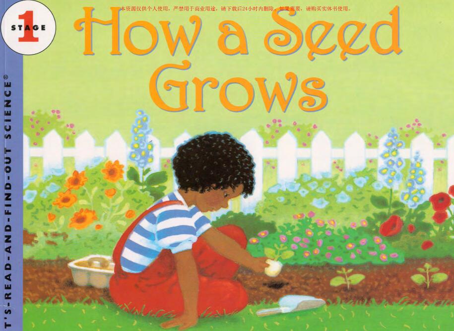 《How A Seed Grows》自然科学启蒙绘本pdf资源免费下载