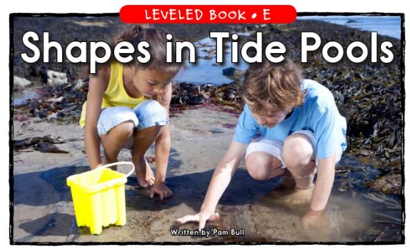 《Shapes in Tide Pools》RAZ分级阅读E级绘本pdf资源下载