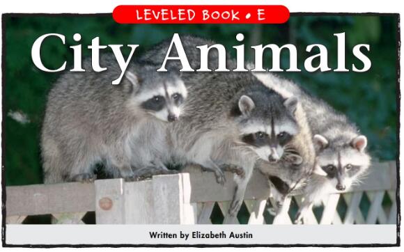 《City Animals》RAZ分级英文绘本pdf资源免费下载