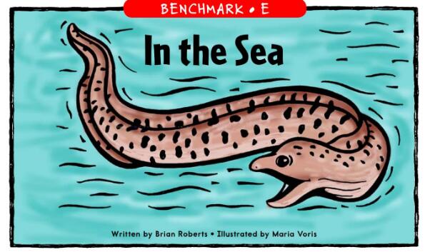 《In the Sea》儿童英文绘本pdf资源免费下载