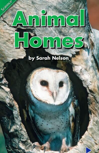 《Animals Homes》英文绘本翻译及pdf资源下载