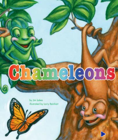 《Chameleons》少儿英语绘本pdf资源下载