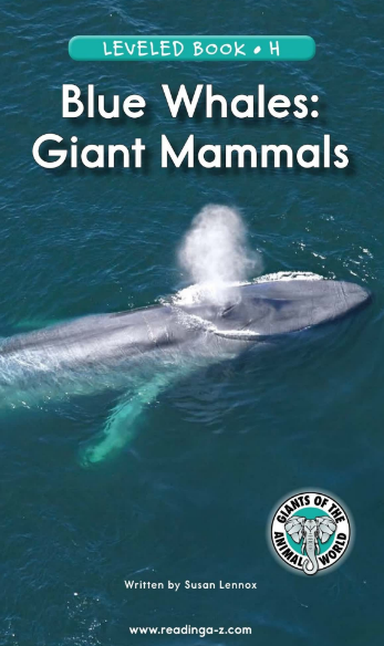 Blue Whales: Giant Mammals英语绘本电子档+音频百度网盘免费下载