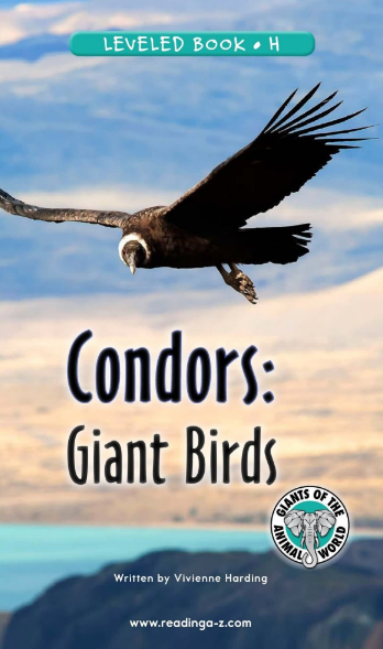 Condors Giant Birds绘本电子档+音频百度网盘免费下载